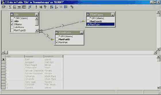 Программирование в Microsoft SQL Server 2000