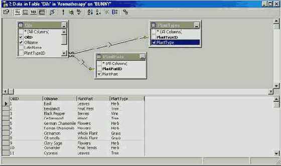 Программирование в Microsoft SQL Server 2000