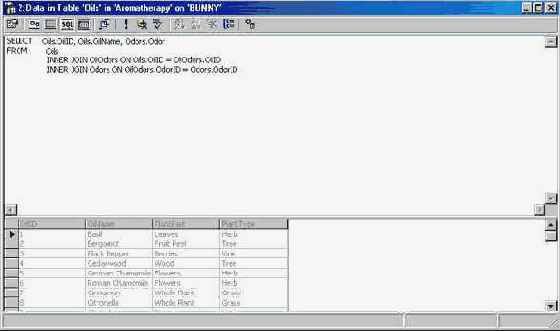 Программирование в Microsoft SQL Server 2000