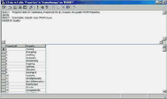 Программирование в Microsoft SQL Server 2000