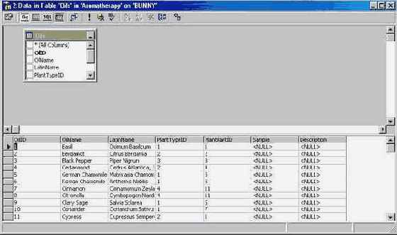   Microsoft SQL Server 2000
