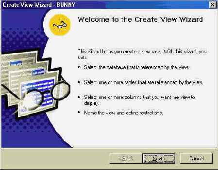   Microsoft SQL Server 2000
