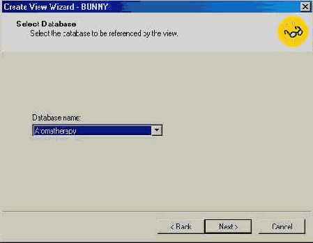   Microsoft SQL Server 2000
