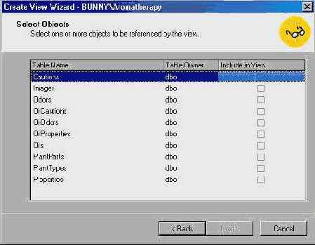  Microsoft SQL Server 2000
