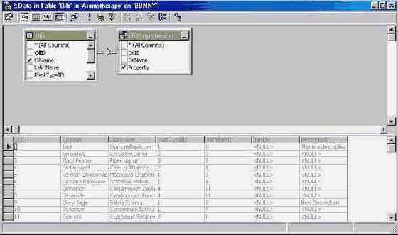   Microsoft SQL Server 2000

