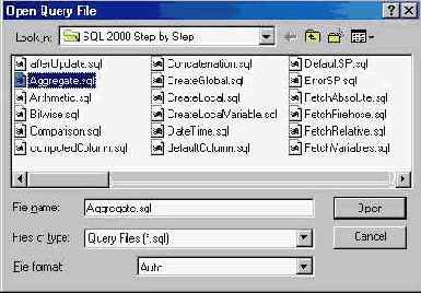   Microsoft SQL Server 2000
