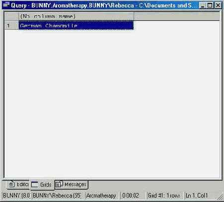   Microsoft SQL Server 2000
