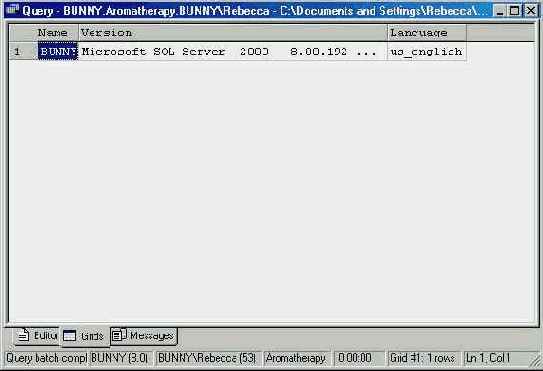   Microsoft SQL Server 2000
