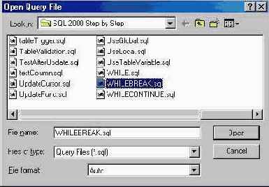   Microsoft SQL Server 2000

