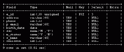    MySQL
