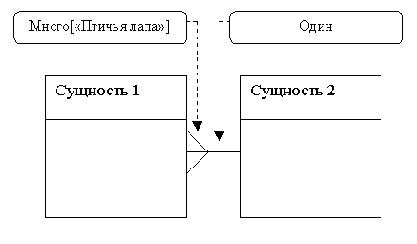 MySQL & mSQL
