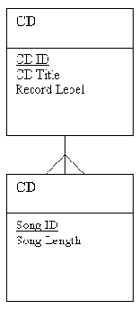 MySQL & mSQL
