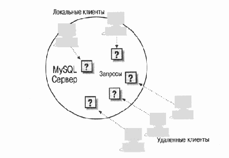 MySQL & mSQL
