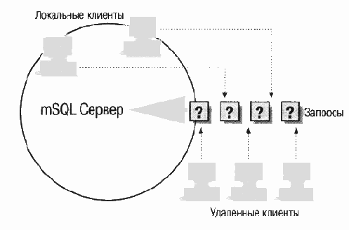 MySQL & mSQL
