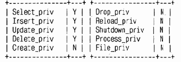 MySQL & mSQL
